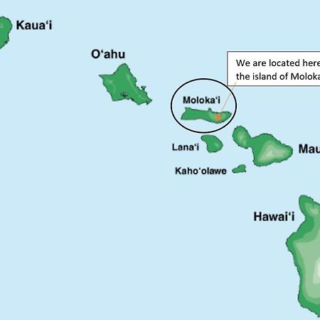 UalapueMolokai Island Retreat With Beautiful Ocean Views And Pool - Newly Remodeled!アパートメント エクステリア 写真