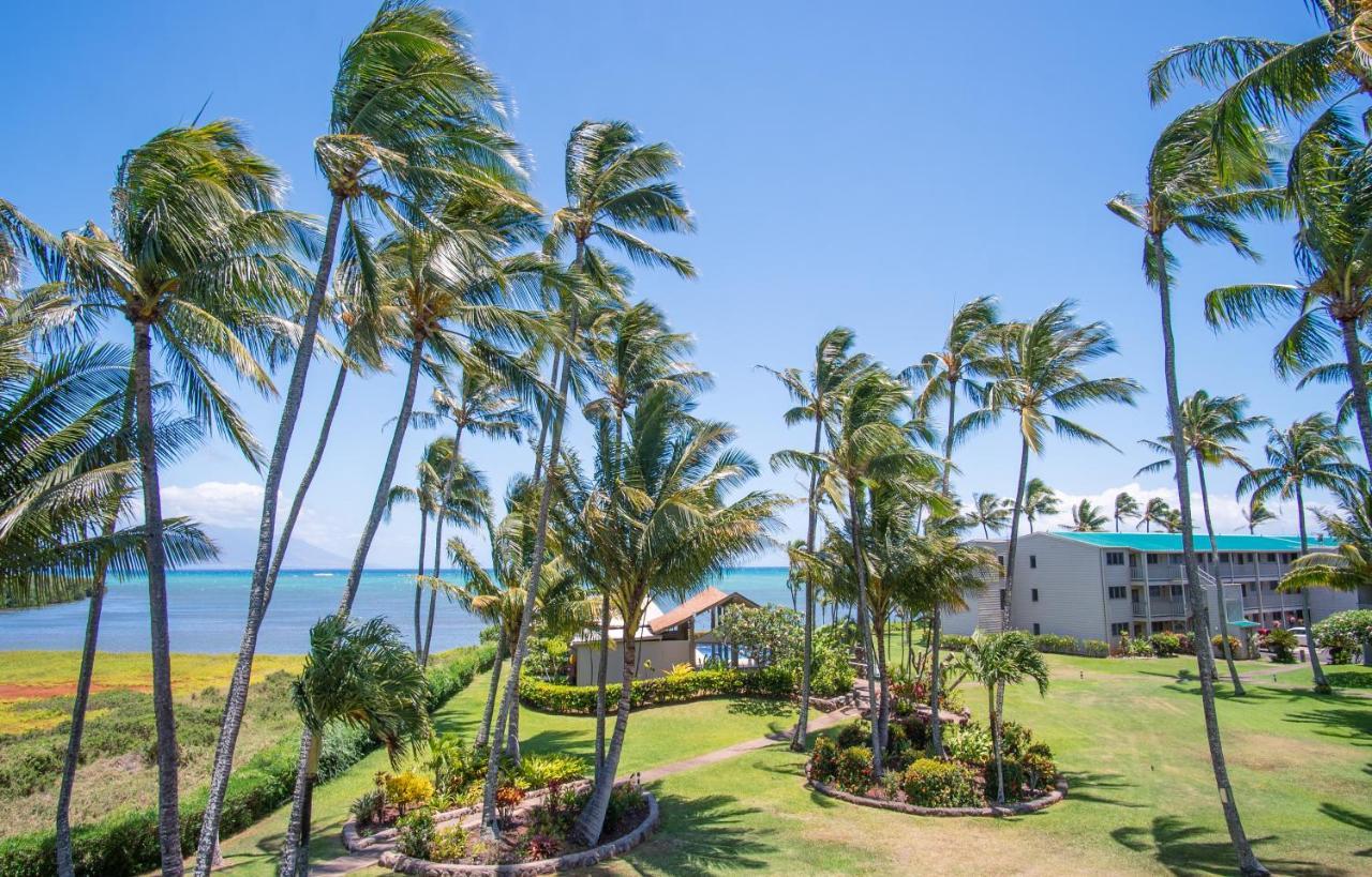 UalapueMolokai Island Retreat With Beautiful Ocean Views And Pool - Newly Remodeled!アパートメント エクステリア 写真